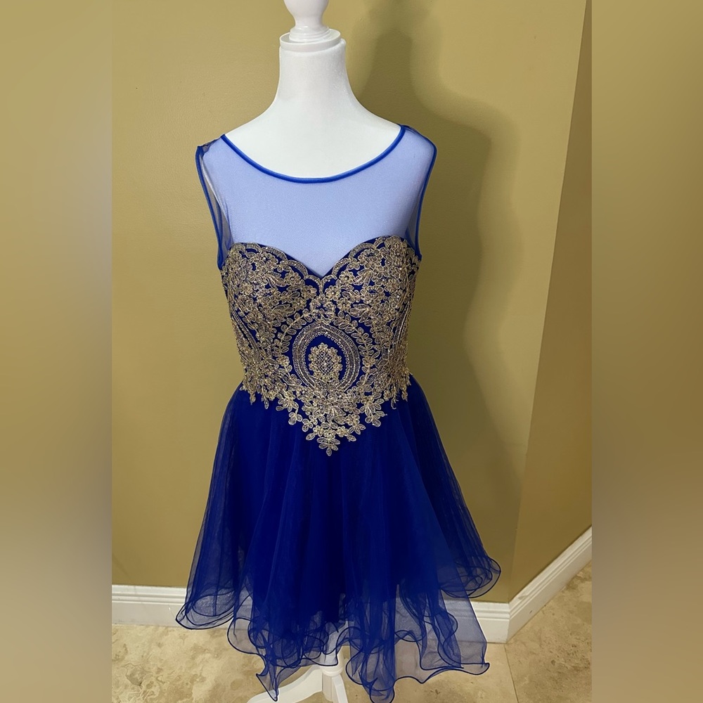 BRAND NEW Homecoming or sweet 16 Dress with Rhinestone embedded Gold bodice.